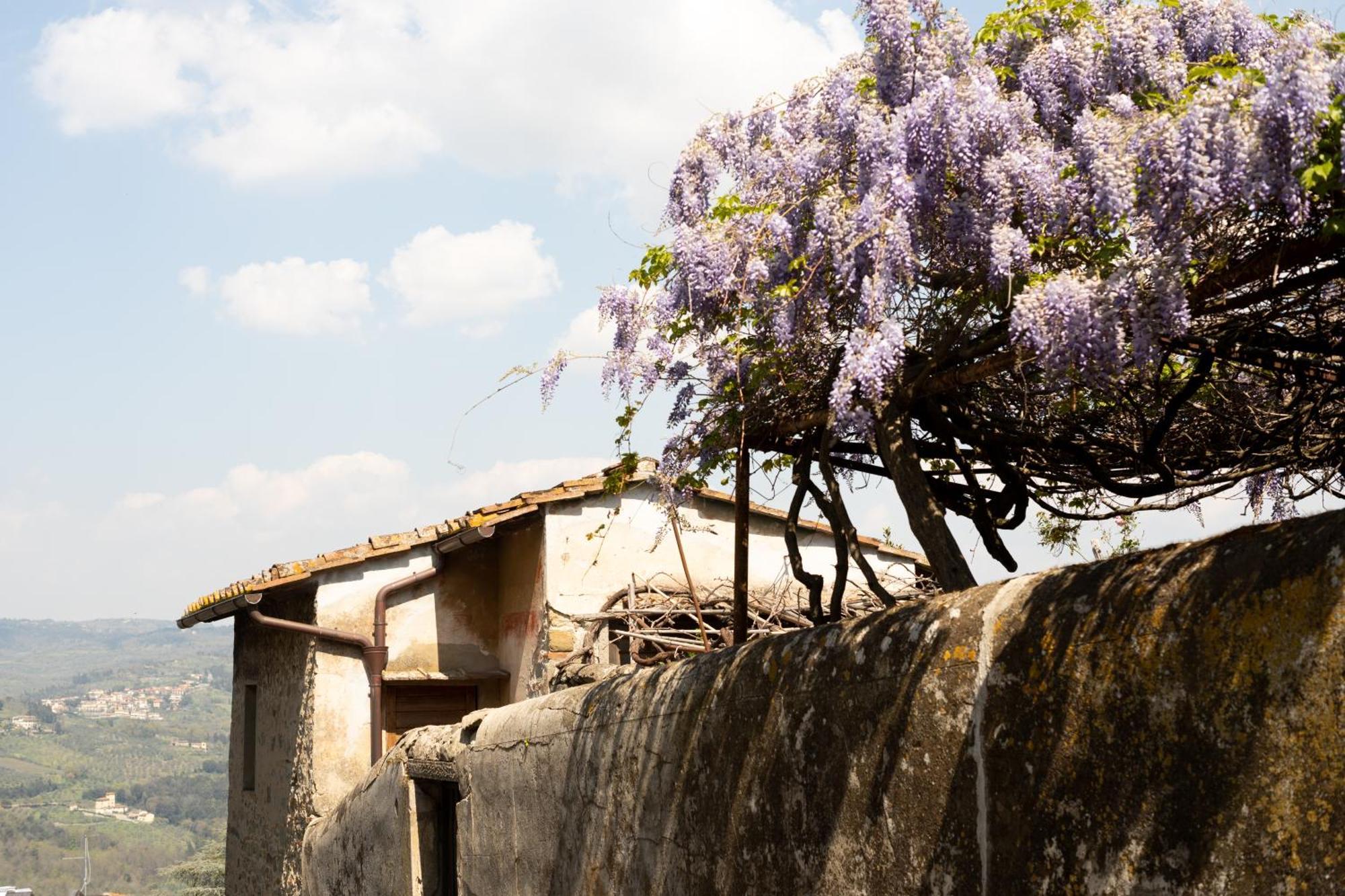 B&B Le Cannelle Fiesole Luaran gambar